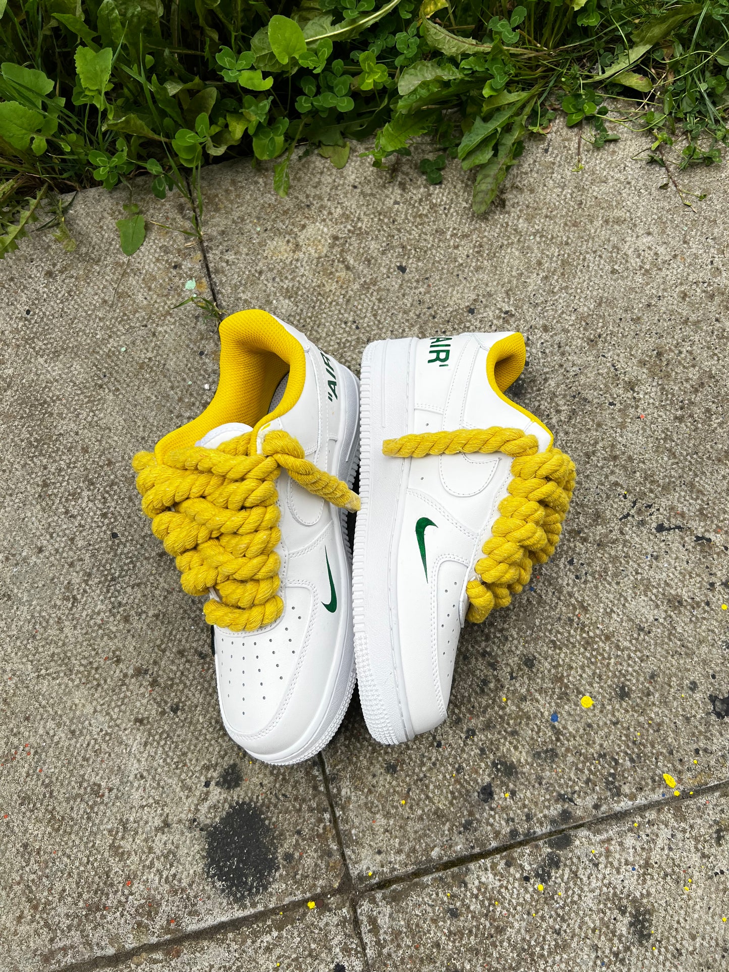 THE YELLOW ROSES AIR FORCE 1